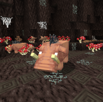 Nelze načíst obrázek