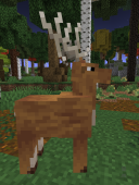 Nelze načíst obrázek