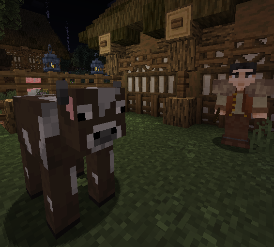 Nelze načíst obrázek