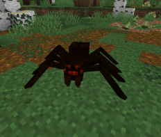 Nelze načíst obrázek