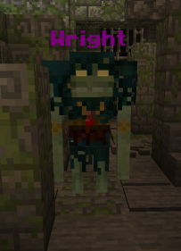 Nelze načíst obrázek